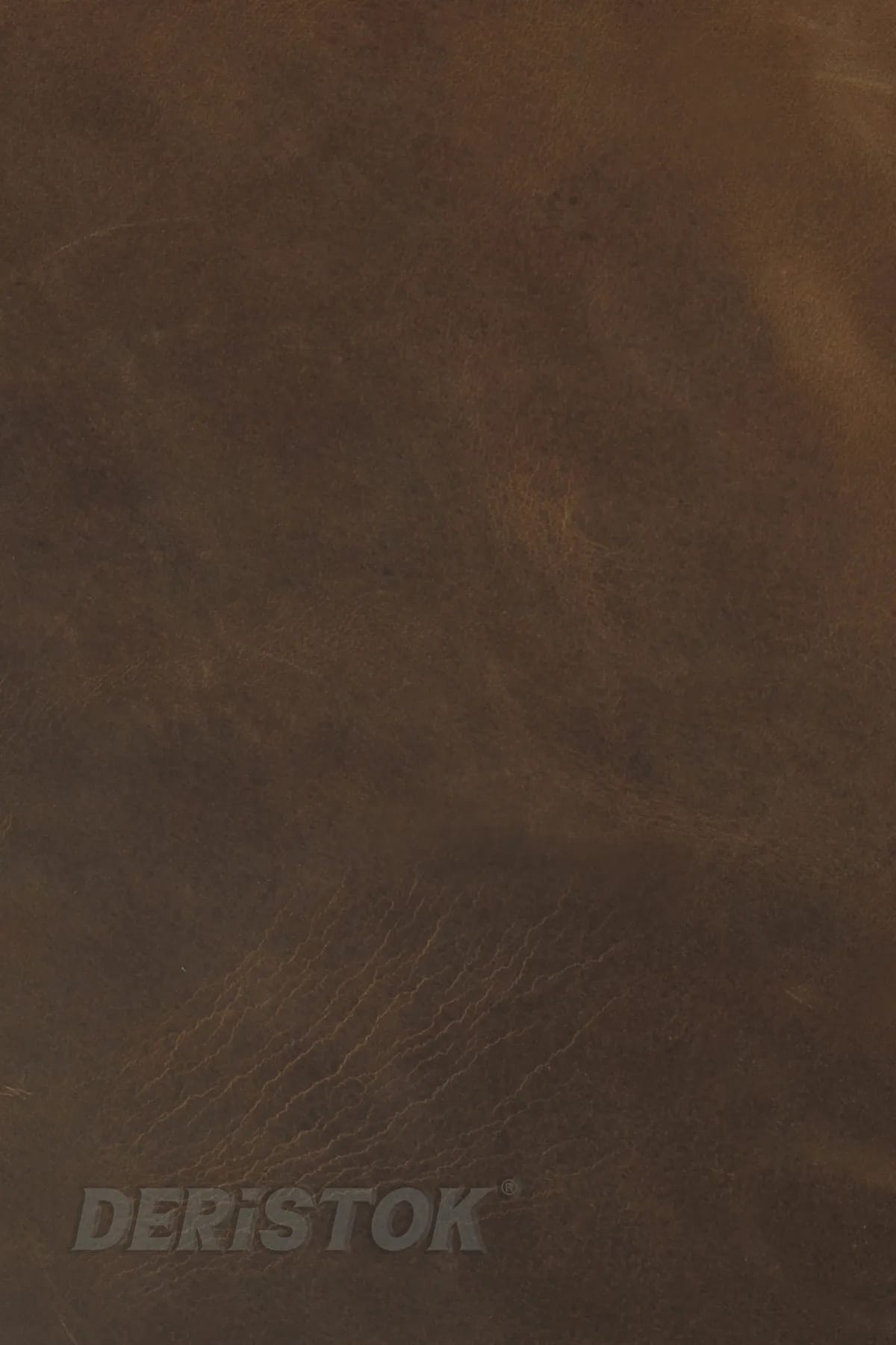 Crazy Horse Dana Derisi Taba - 1