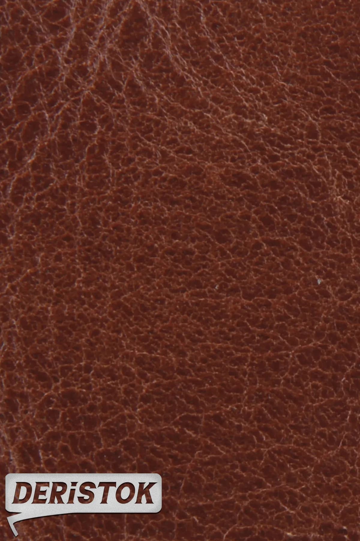 Manda Derisi Baby Buffalo Kestane