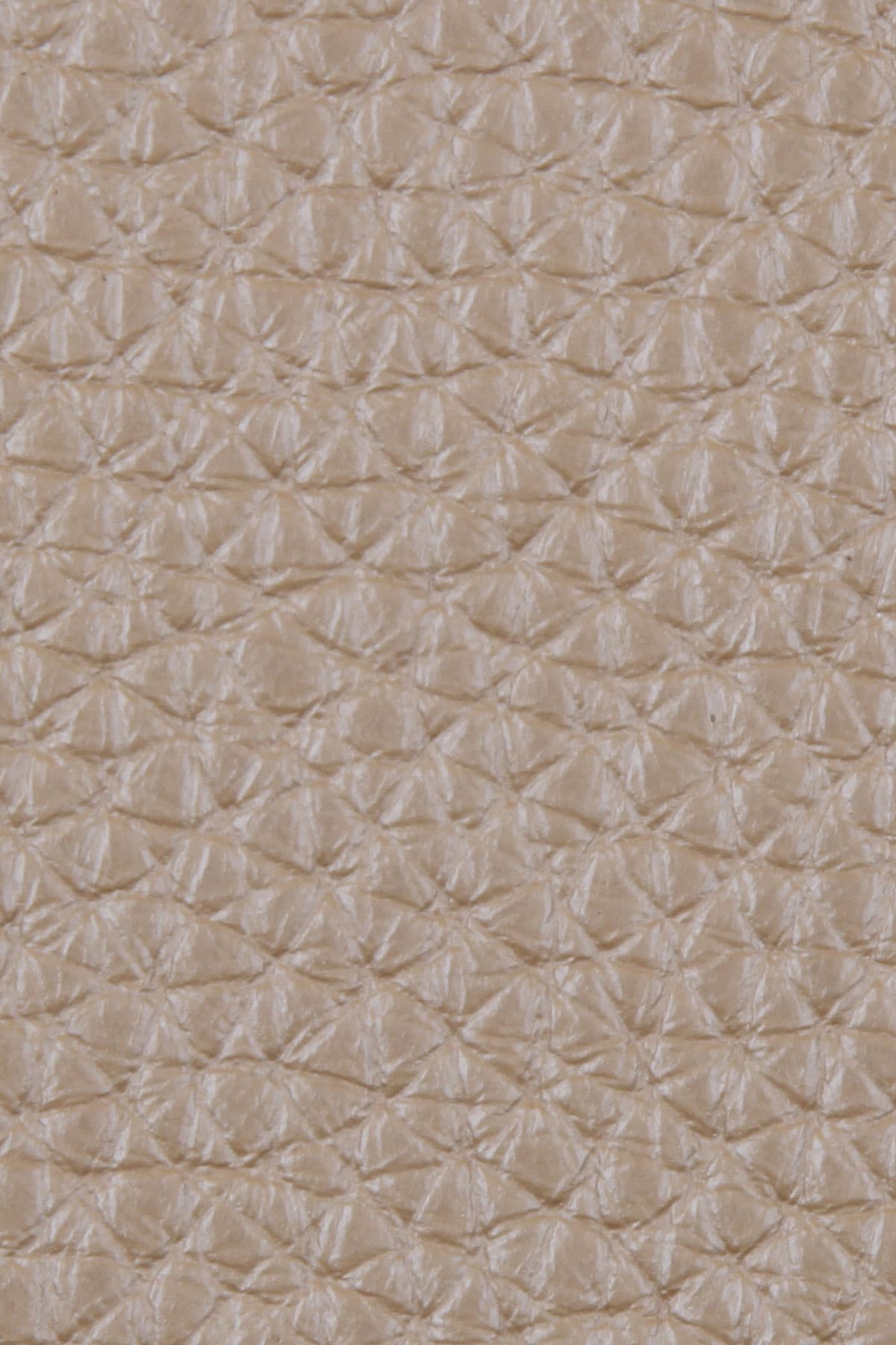 Dana Derisi Flotter Soluk İstiridye