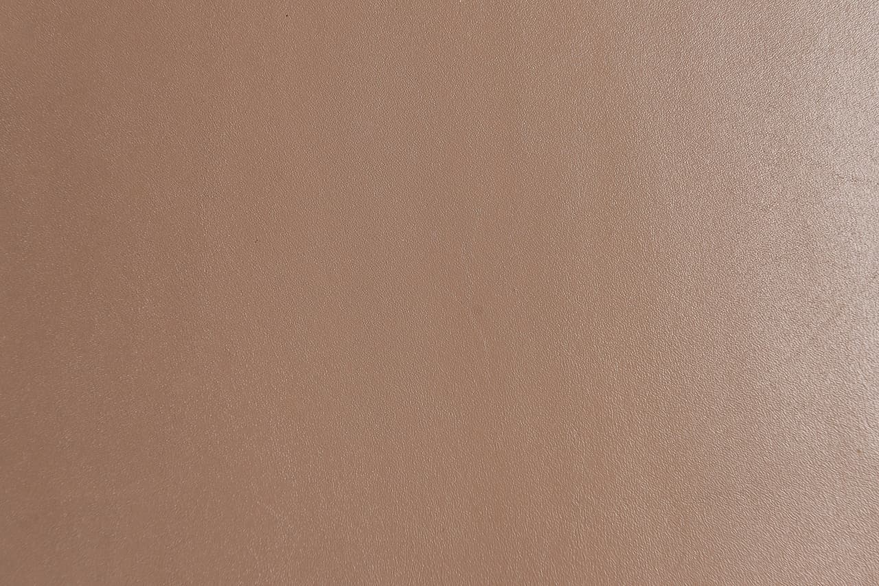 Dana Derisi Softy Soluk İstiridye