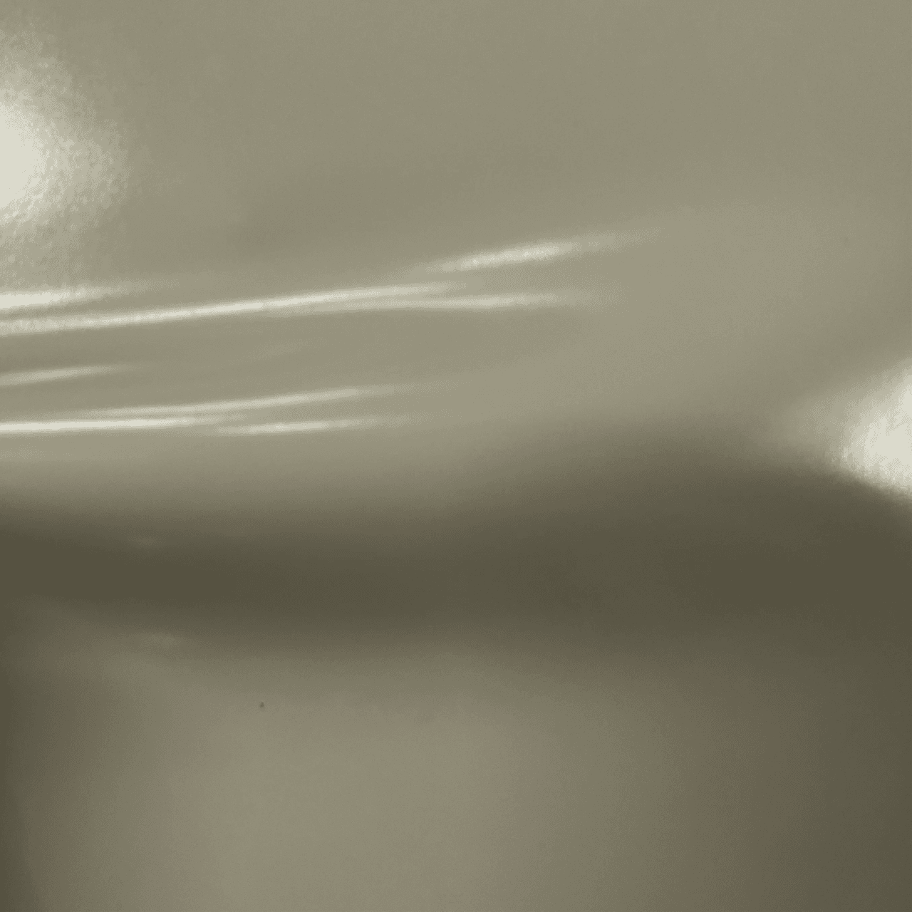 Rugan Vidala Soluk İstiridye