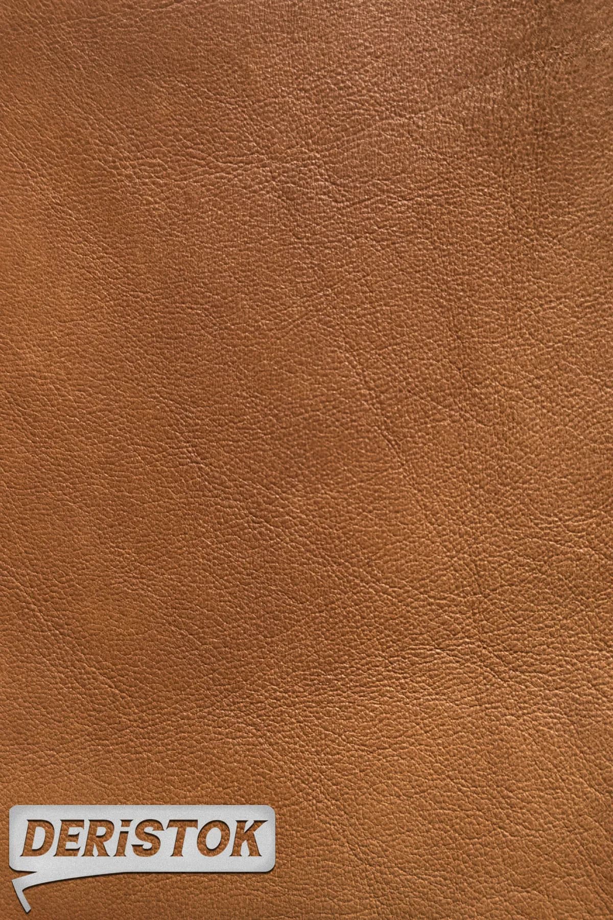 Astar Dana Derisi Açık Mercan