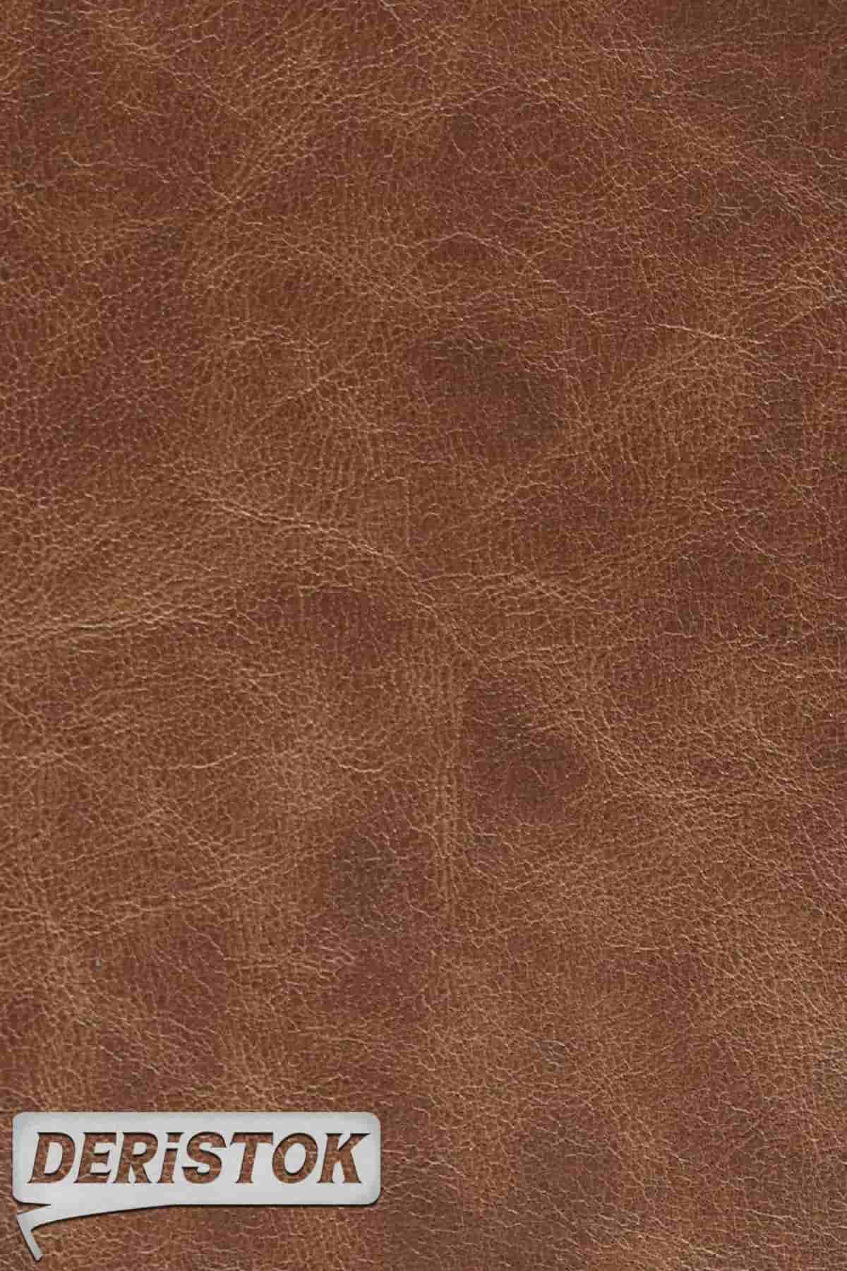 Manda Derisi Baby Buffalo Taba